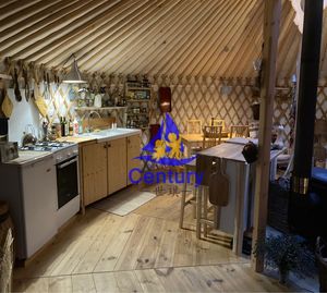 Tente de <span class=keywords><strong>Camping</strong></span> imperméable, cadre en acier, extérieur, yourte de tigre, mongol - Product Image 5