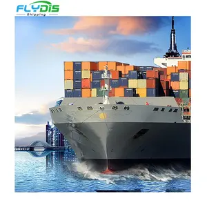 DDP Envío de servicios de logística de China a Iraq India Pakistán mar