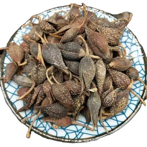 Các Sản Phẩm Nông Nghiệp Forsythia - Product Image 1