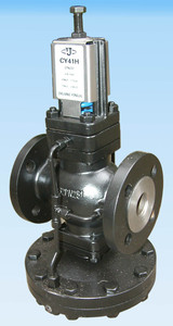 Reductor Spirax Sarco - Product Image 5