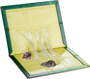 Piège à souris collant facile à utiliser, piège à souris <span class=keywords><strong>efficace</strong></span>, piège à souris adhésif, pièges à parasites - Product Image 6