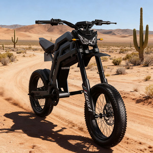 Moto tout-terrain QJ73 à grande vitesse 70 km/h, 2000W 3000W, longue autonomie, moto de course en montagne, E-moto - Product Image 1