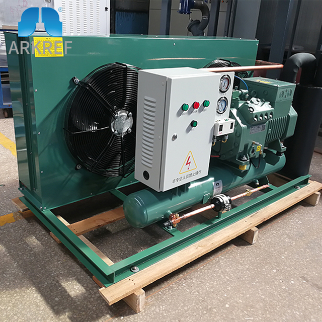 ARKREF High Quality 2hp 3hp 5hp 15hp Refrigeration System Air-cooled Condensing Unit for Cold Room