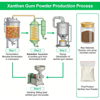 Gomme xanthane en poudre de haute qualité, qualité alimentaire, épaississant, stabilisateur, émulsifiant, sac de 25 kg, prix compétitif, directement de l'usine