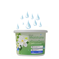 Déshumidificateur sec réutilisable au chlorure de calcium pour placard Absorbeur d'humidité solide au charbon actif