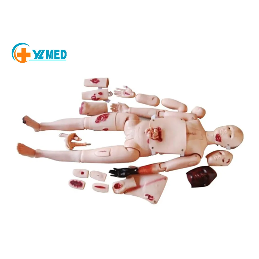 Modelo humano de enfermería, Reanimación cardiopolar, primeros auxilios, bandage, simulación de enseñanza médica
