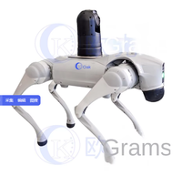 Caméra de sécurité intelligente HD AI, robot chien quadrupède avec audio bidirectionnel étanche, évitement d'obstacles LiDAR 4D