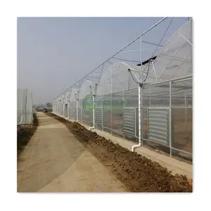 Greenhouse tubular agrícola turnkey, flor, umidade, borboleta, nebulizador, greenhouse 100x30
