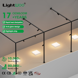 <span class=keywords><strong>Rail</strong></span> magnétique <span class=keywords><strong>LED</strong></span> 24V R90 3CCT 1.5W 6W pour vitrine de bijoux, système ultra-plat 8mm, idéal pour hôtels modernes - Product Image 5