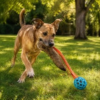 Jouet 3-en-1 pour chien : Queue en peluche, sangle élastique et balle nid d'abeille – Jouet interactif d'extérieur pour mâcher et apporter, idéal pour chiots