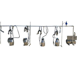 Ordeñadora de tuberías fija para granja lechera, venta directa de fábrica - Product Image 2