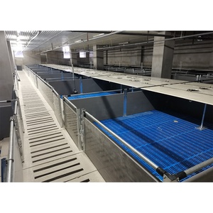 Nouvelle cage de sevrage pour porcelets, équipement d'élevage 2026 - Product Image 1