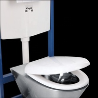Cuvette de toilette suspendue au mur européen Toilette WC en acier inoxydable avec réservoir d'eau dissimulé