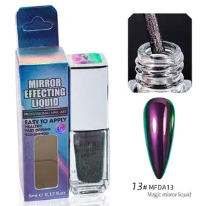Professional Nail Supplier nail chameleon chrome powder nail polish liquid magic mirror