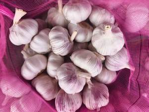 Exportadores de ajo blanco fresco Ajo Alho con bolsa de malla embalaje para alimentos nuevo cultivo de ajo al por mayor - Product Image 5