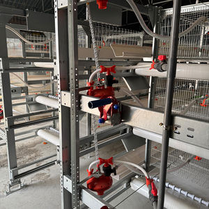 Gabbia Automatizzata per Polli da Carne con Batteria da 5 a 6 Settimane, Nuova Condizione, Allevamento per Conigli e Uccelli per Fattorie in Kenya - Product Image 6