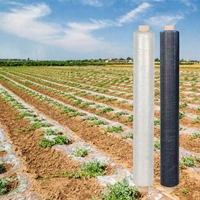 Film de paillage agricole, film de paillage biodégradable en PBAT+PLA, 20 microns, film de paillage agricole compostable