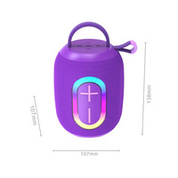 Haut-parleur portable étanche et anti-poussière 5.3 avec subwoofer pulsé haute puissance 5W et fente pour carte, idéal pour le camping en extérieur