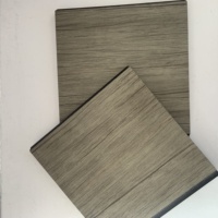 Panneau latéral étanche pour spa PS, panneau de protection de spa à faible entretien pour usage extérieur
