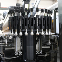 Machine de soufflage de préformes PET entièrement automatique à chauffage intégré pour usine d'eau potable