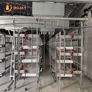 Chất Lượng Cao Tự Động Pin Hai Lồng Cho Gia Cầm Trang Trại Yếu Hiệu Quả Công Cụ Quản Lý - Product Image 3