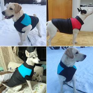 สุนัขฤดูหนาวเสื้อกั๊กกันน้ำกันน้ำเย็นเสื้อกั๊กสัตว์เลี้ยงขนาดเล็กสุนัขสัตว์ฤดูหนาวแจ็คเก็ตที่กำหนดเองเสื้อผ้าสุนัข - Product Image 2
