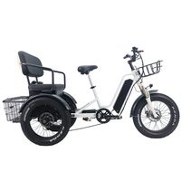 Tricycle adulte de haute qualité à 3 roues de 20 pouces avec pneus larges, moteur à moyeu arrière, batterie au lithium pour femmes, seniors et hommes