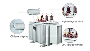 Transformateur <span class=keywords><strong>de</strong></span> puissance triphasé immergé dans l'huile S11 Type 30KVA 10/0.4kV pour <span class=keywords><strong>distribution</strong></span> extérieure, sortie 400V 440V - Product Image 5