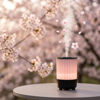 Diffuseur d'huiles essentielles 150ML, diffuseur d'aromathérapie, lumière LED RGB, veilleuse, brume fraîche, USB Type-C, pour chambre à coucher, bureau, relaxation, cadeau