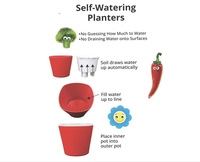 Kit de truie de haricot de jardin de fenêtre auto-arrosant 3 jardinières de légumes pour les graines amusantes des enfants à partir de la maison