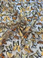 Tissu brodé 3D multicolore à broderie lourde pour robes, vêtements et artisanat DIY
