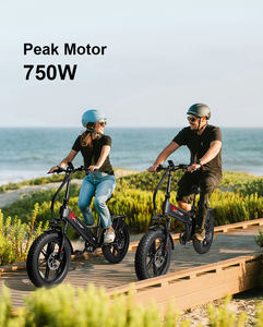 Vélo électrique pliable Daily Electric Ebike 500w avec moteur sans balais Victrip, idéal pour la livraison de nourriture en ville - Product Image 4