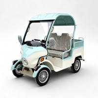 Chariot électrique utilitaire Holladay, nouveau modèle, 2 places, avec auvent et boîte de transport, 500W, pratique, 4 roues, vélo électrique pour de multiples scénarios