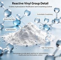 Résine vinyle MQ SH-5202P, additif silicone haute isolation résistant au vieillissement UV pour adhésifs PSA, revêtements, mastics et adhésifs de scellement