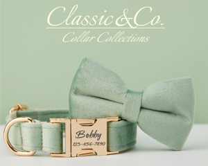 Saegreen Veet personalizado Do Collar Bow Tie Leash Set, personalizado Enraved Pet Name Metal Buckle, cumpleaños cachorro regalo, gratis - Product Image 3