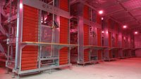 Fournisseurs d'équipements avicoles automatiques à bon prix, cages de type A pour poules pondeuses