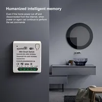 Wishiot 16A Matter Mini Interrupteur WiFi Automatique Relais Disjoncteur Intelligent Commande Vocale Compatible Alexa/Google F268