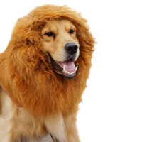 Jungle King Perruque en fourrure artificielle pour chien, modèle tête de lion amusante – Accessoire capillaire pour animaux de compagnie toutes saisons et fêtes