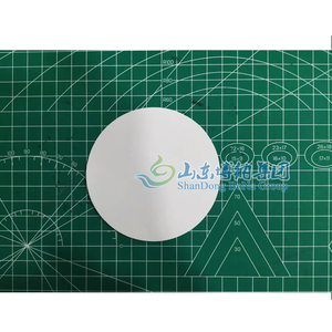 Membrana Plana de PVDF <span class=keywords><strong>PES</strong></span> para Uso en Laboratorio - Product Image 4