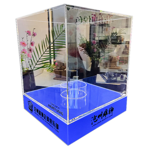 Clear Blue Acrylic Display Box Case With Acrylic Base