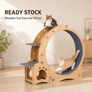Rueda de Ejercicio para Gatos, Multicapa, 4 en 1, Estética, Silenciosa, Ecológica, de Madera, Moderna, para Gatos de Interior - Product Image 1