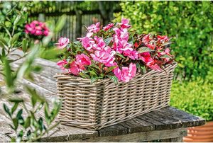 Phong cách tự nhiên mây <span class=keywords><strong>wicker</strong></span> Hộp trồng với lót nhựa - Product Image 3