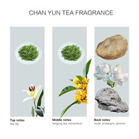 Huiles de parfum de thé Chan Yun pour diffuseurs d'arômes sans eau OEM & ODM Huiles essentielles de parfum disponibles Parfums