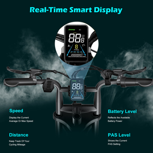 Bici <span class=keywords><strong>Elettrica</strong></span> 2025 in Offerta Speciale 48V 20AH 1000W <span class=keywords><strong>con</strong></span> Pneumatici Fat da 20 Pollici - Product Image 4