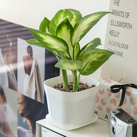 Kit de pots de fleurs carrés en plastique écologiques de style campagnard pour la décoration de bureau, de balcon et de jardin à domicile