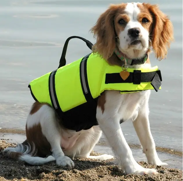 Factory Reflective Adjustable Preserver Flotation Vest Outwear Dog Life Jacket For Sale
