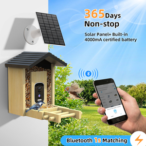 5MP HD tre/gỗ thông minh chim trung chuyển ai 10K + loài công nhận năng lượng mặt trời & pin chống sóc cảnh báo 24/7 ghi âm dễ dàng cài đặt - Product Image 3