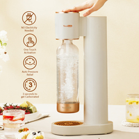 Machine à eau gazeuse domestique, machine à soda pour restaurant ou hôtel