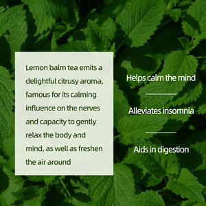 ชาเลมอนบาล์มออร์แกนิกขายส่ง 20 ซอง ปราศจากคาเฟอีน บรรจุในถุงใยข้าวโพดย่อยสลายได้ ผู้ผลิตแบบ OEM - Product Image 2