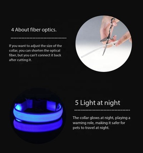 <span class=keywords><strong>Collar</strong></span> de perro de poliéster de lujo con luces LED, decoración de encaje Floral impermeable, seguridad nocturna, batería de iluminación incluida, collares para mascotas - Product Image 5